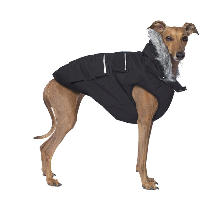 Canada Pooch Everest Explorer Size 16 Black Fleece Lined Insulated Dog Coat