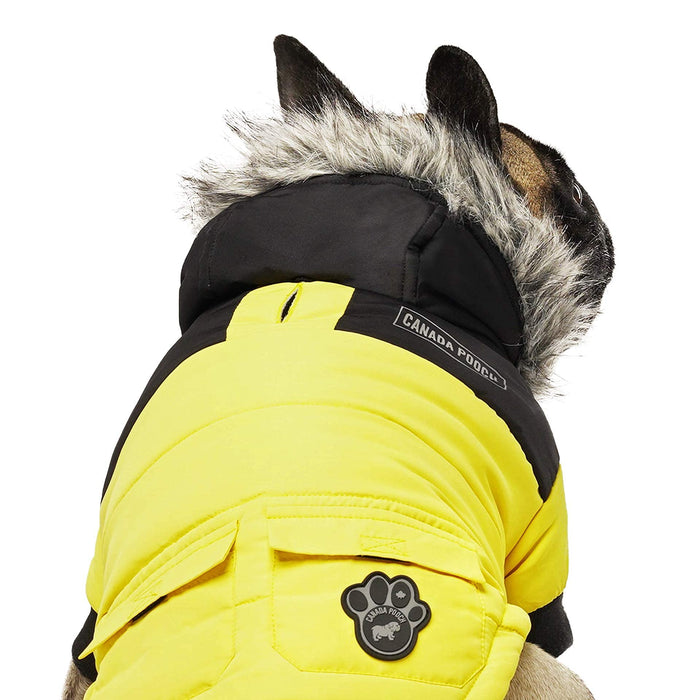 Canada Pooch True North Parka Size 14+ Yellow Insulated Dog Coat