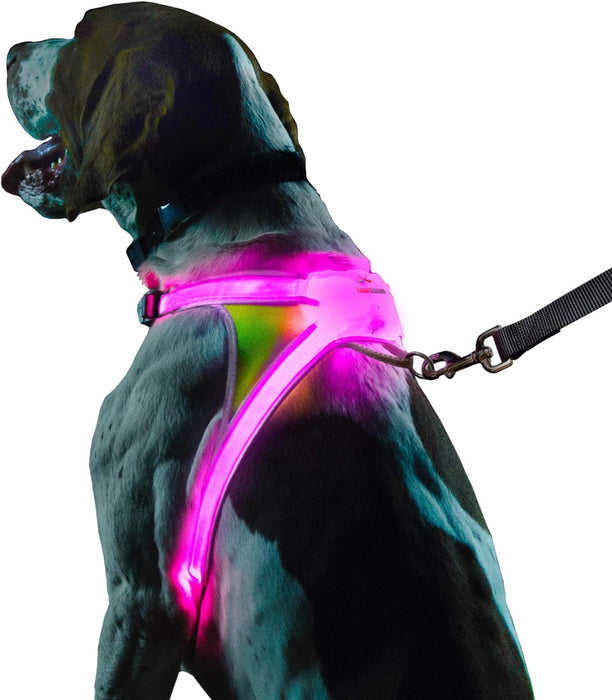 Noxgear LightHound – Illuminated and Reflective Adjustable Harness for Dogs