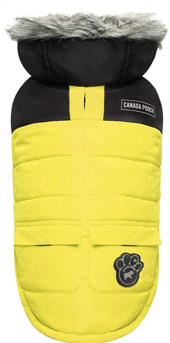 Canada Pooch True North Parka Size 14 Yellow Insulated Dog Coat