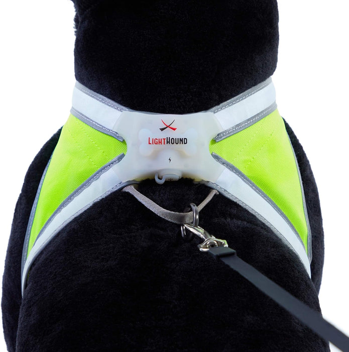 Noxgear LightHound – Illuminated and Reflective Adjustable Harness for Dogs