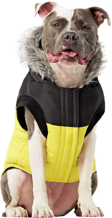 Canada Pooch True North Parka Size 14 Yellow Insulated Dog Coat