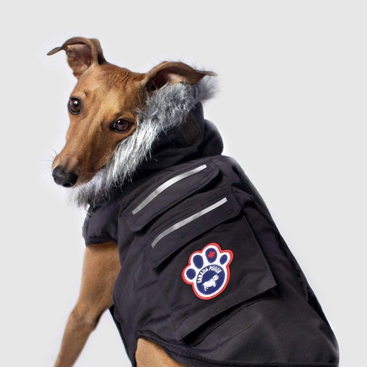 Canada Pooch Everest Explorer Size 24 Black Fleece Lined Insulated Dog Coat