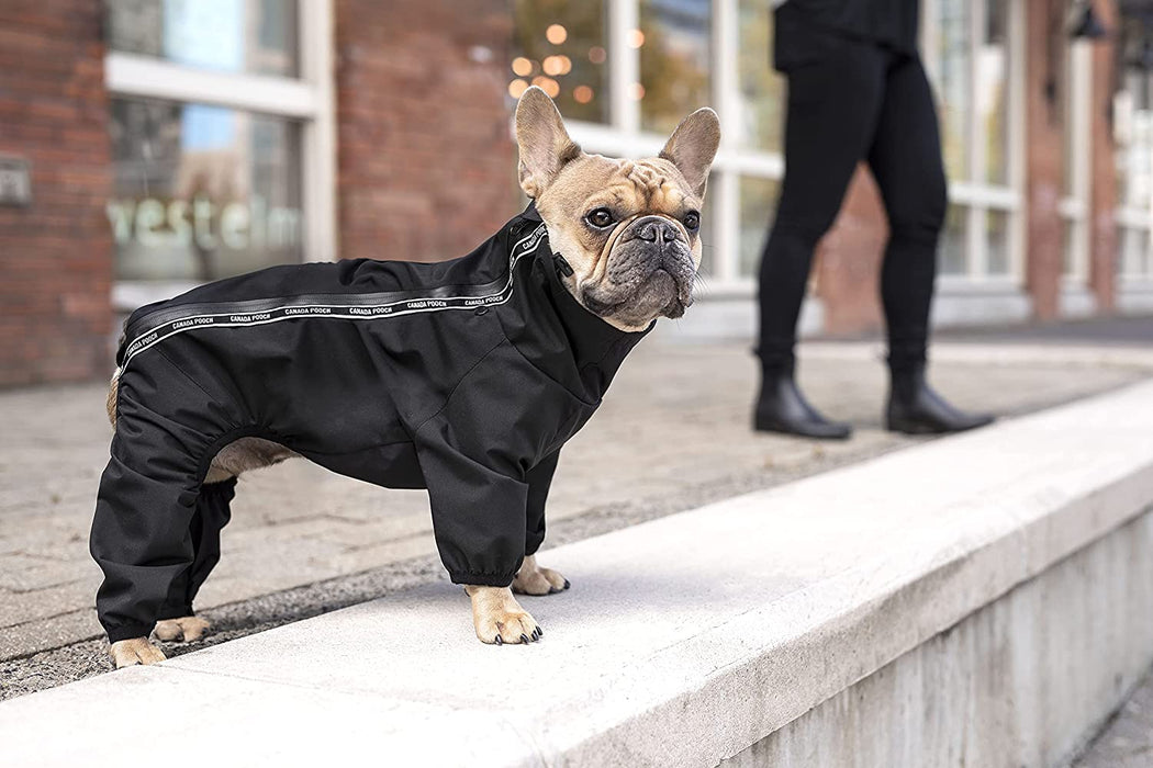 Canada Pooch Slush Suit Size 12 Black Water-Resistant Dog Bodysuit