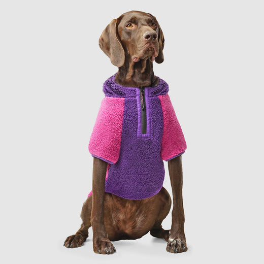 Canada Pooch Cool Factor Hoodie Size 16 Pink/Purple Teddy-Bear fleece Dog Hoodie