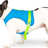 Canada Pooch Chill Seeker Adjustable and Breathable Dog Cooling Harness