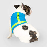 Canada Pooch Chill Seeker Adjustable and Breathable Dog Cooling Harness