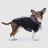 Canada Pooch Cool Factor Hoodie Size 16 Black/Grey Teddy-Bear fleece Dog Hoodie