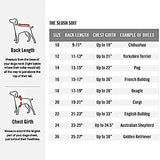Canada Pooch Slush Suit Size 24 Green Camo Water-Resistant Dog Bodysuit