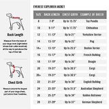 Canada Pooch Everest Explorer Size 14+ Black Fleece Lined Insulated Dog Coat