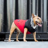 Canada Pooch True North Parka Size 14+ Red Insulated Dog Coat