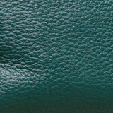Hammitt Women's Grove Green/Brushed Gold Charles Crossbody Leather Belt Bag