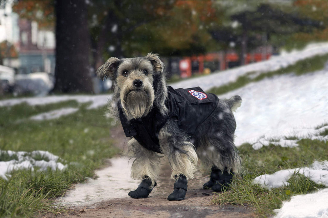 Canada Pooch Everest Explorer Size 18 Black Fleece Lined Insulated Dog Coat