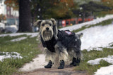 Canada Pooch Everest Explorer Size 14+ Black Fleece Lined Insulated Dog Coat