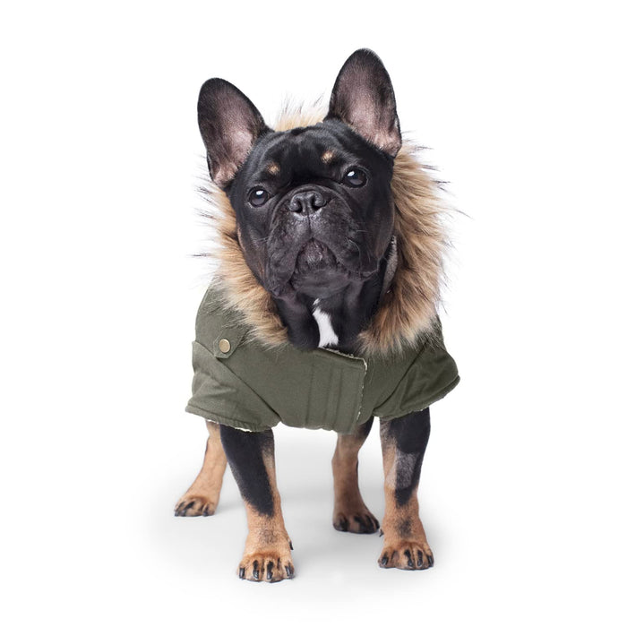 Canada Pooch Alaskan Army Parka Size 12 Army Green Insulated Dog Coat