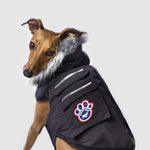 Canada Pooch Everest Explorer Size 14+ Black Fleece Lined Insulated Dog Coat