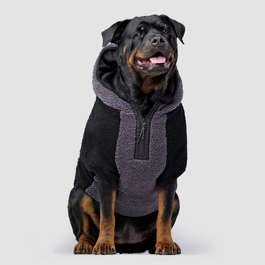 Canada Pooch Cool Factor Hoodie Size 14 Black/Grey Teddy-Bear fleece Dog Hoodie